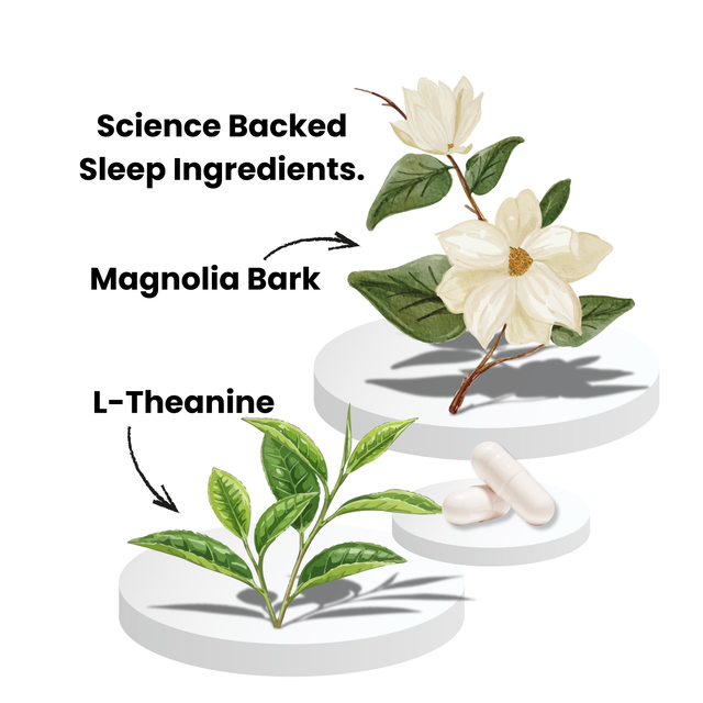 Silent Mind Sleep Caps Jellicoe Shop